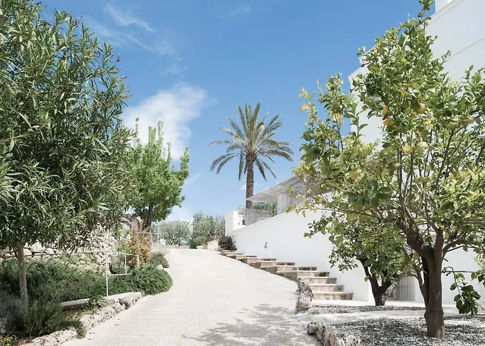 Masseria Alchimia公司