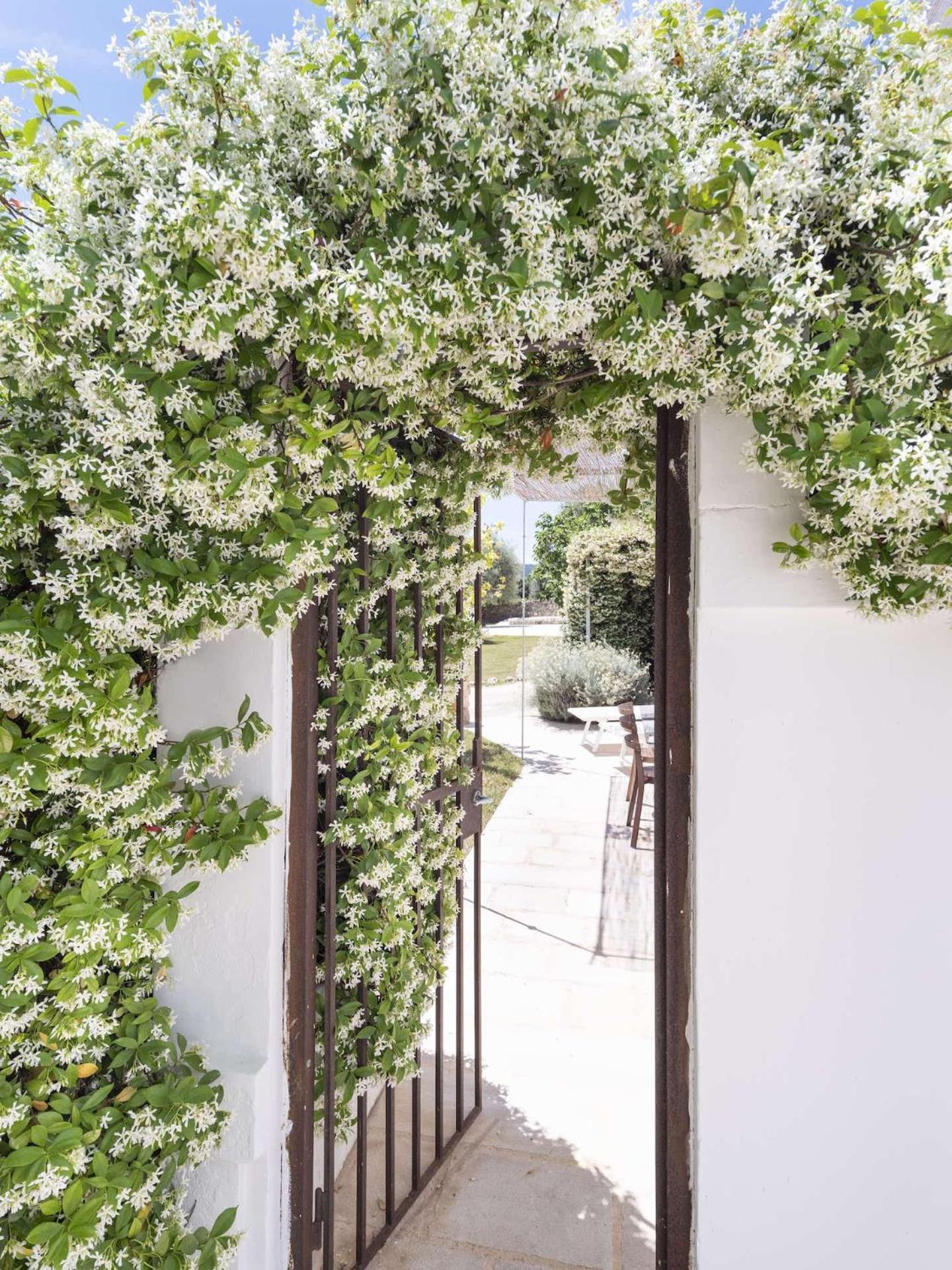 Masseria Alchimia * Fasano